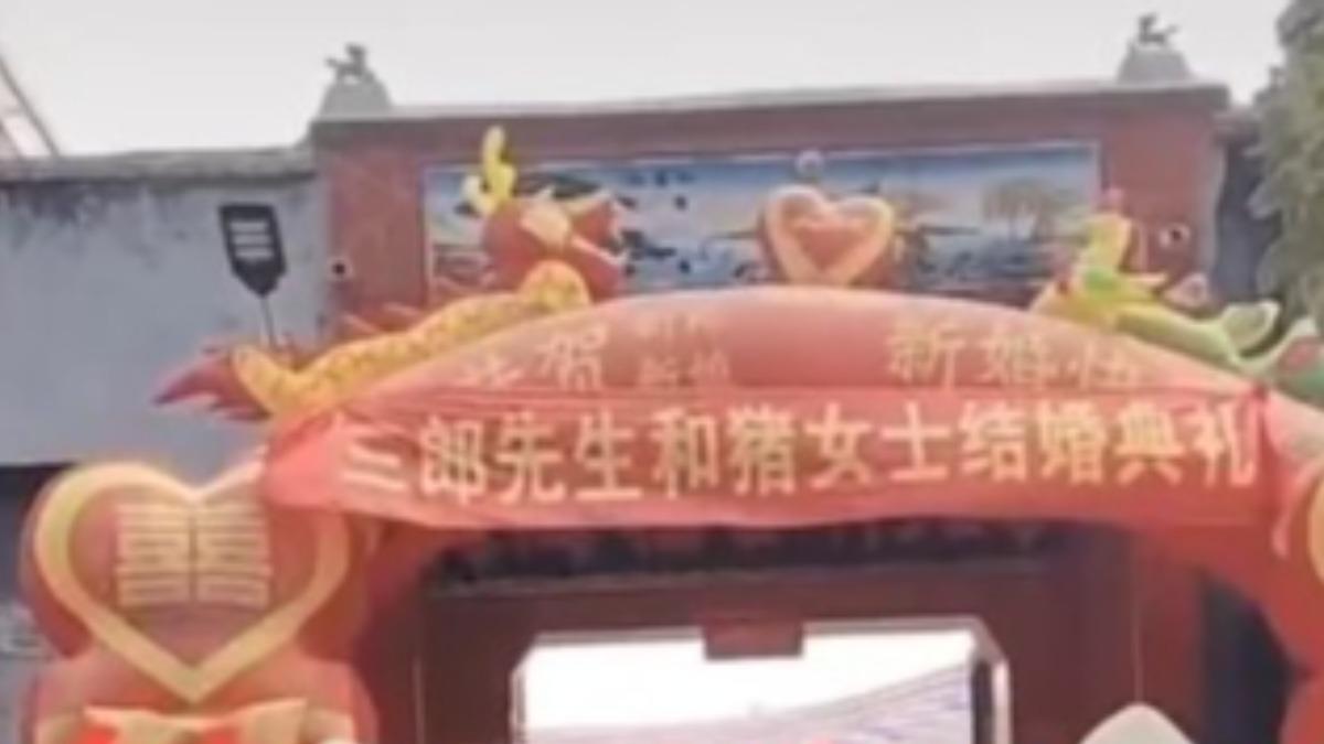 現場的充氣拱門上寫著「三郎先生和豬女士結婚典禮」。（圖／翻攝自新浪新聞）