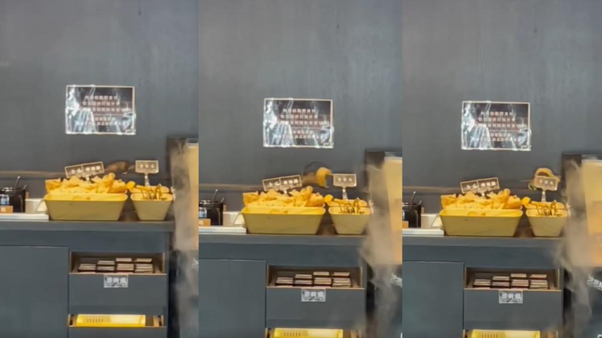 目睹老鼠外帶豆皮!竄逃5秒全拍下 台中連鎖火鍋店道歉了