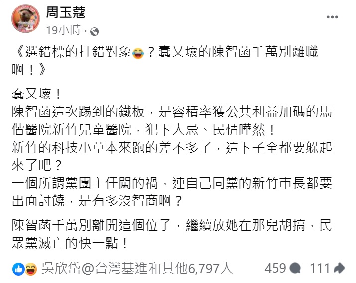 周玉蔻怒轟陳智菡「蠢又壞」。(圖/翻攝自周玉蔻臉書)