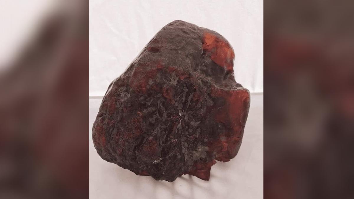 河邊撿石頭當門擋！鑑定才知是國寶琥珀　要價3千萬