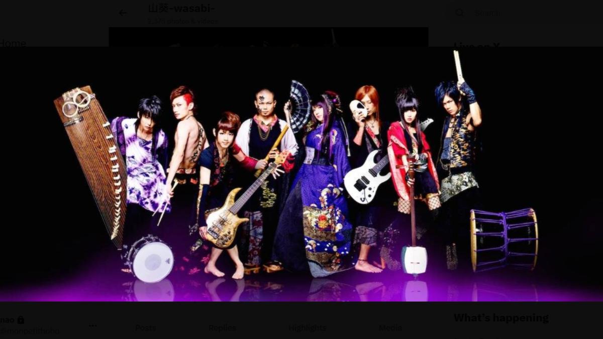 和樂器樂團。(圖/翻攝自X@wasabist)