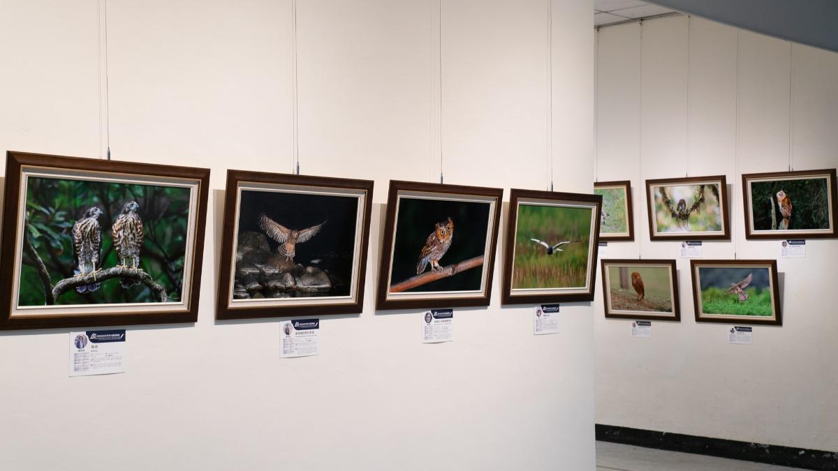 動物園推出「群英飛羽2024世界瀕危野鳥攝影聯展」,明同步登場。(圖/動物園提供)