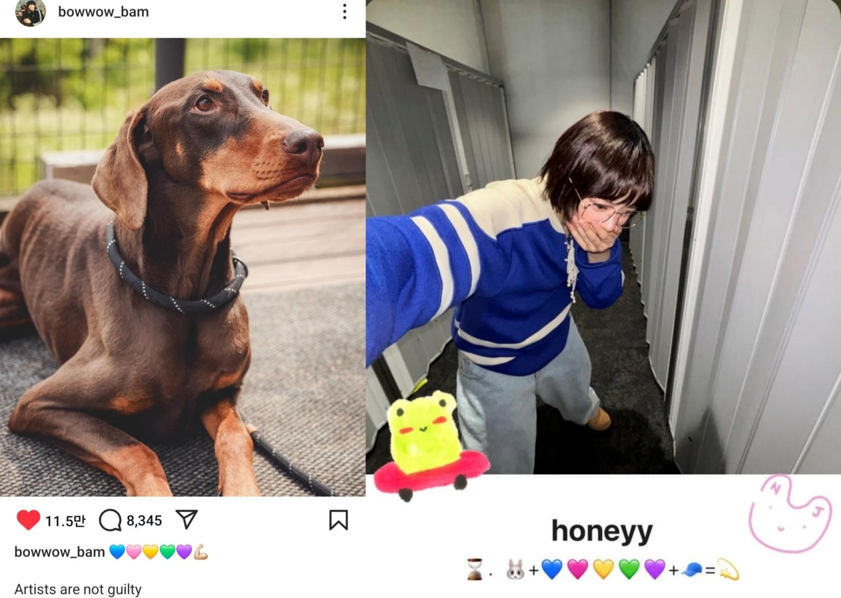 柾國在愛犬Bam的IG帳號上留下5顆愛心，顏色順序跟Hanni之前發過的內容一樣。（圖／翻攝自Theqoo）