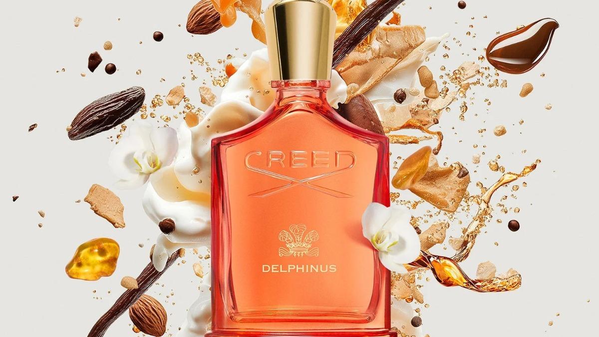 CREED Amber Univese 星珀系列海豚星座Delphinus。（圖／翻攝自CREED官網）