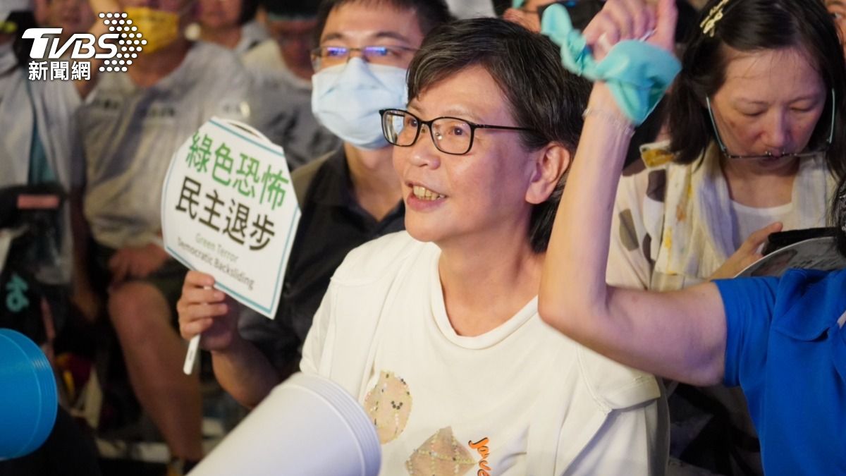 遭控京華城案「藏鏡人」!蔡壁如喊話小草團結:別被帶風向