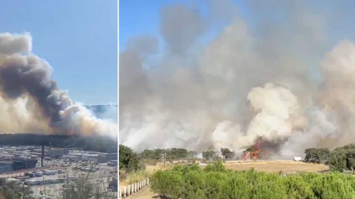 加泰隆尼亞森林大火!野火肆虐高速公路封閉 赴法邊境高鐵停駛