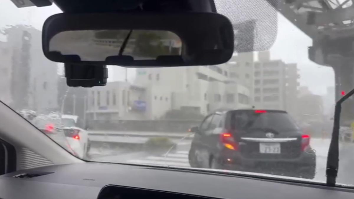 畫面提供/ 就愛笑 FB