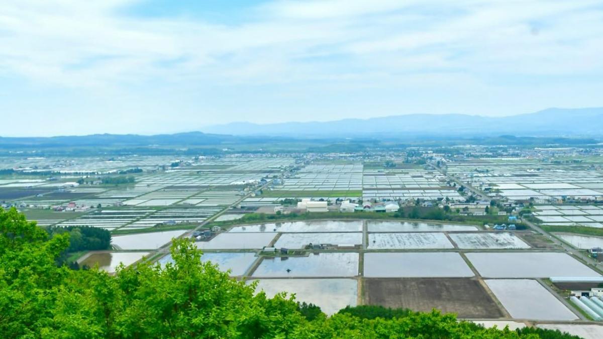 日本18.3萬人票選最宜居地區　北海道一小鎮力壓東京稱霸