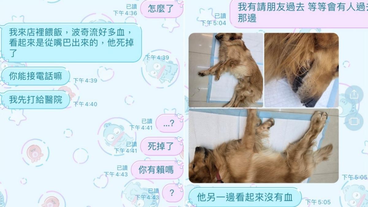 業者與飼主對話紀錄。（圖／投訴人提供）