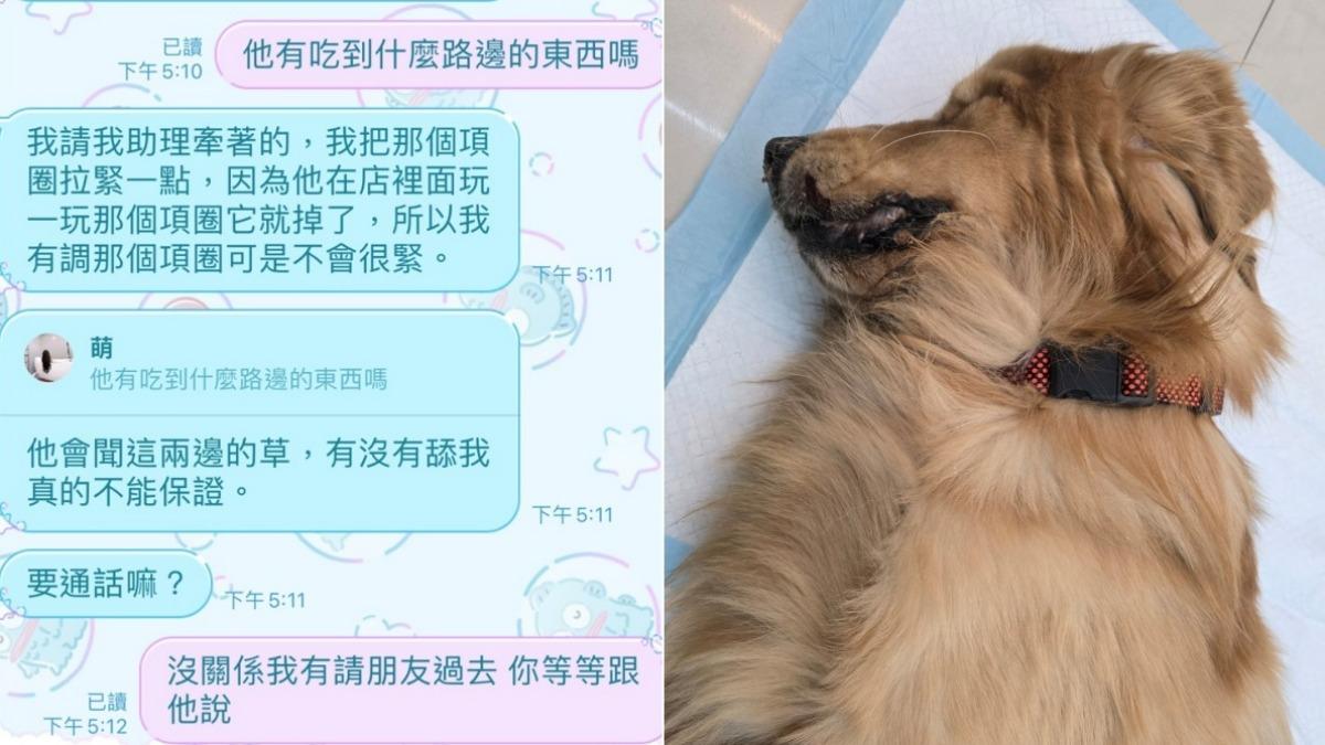 飼主與業者對話紀錄。（圖／TVBS）