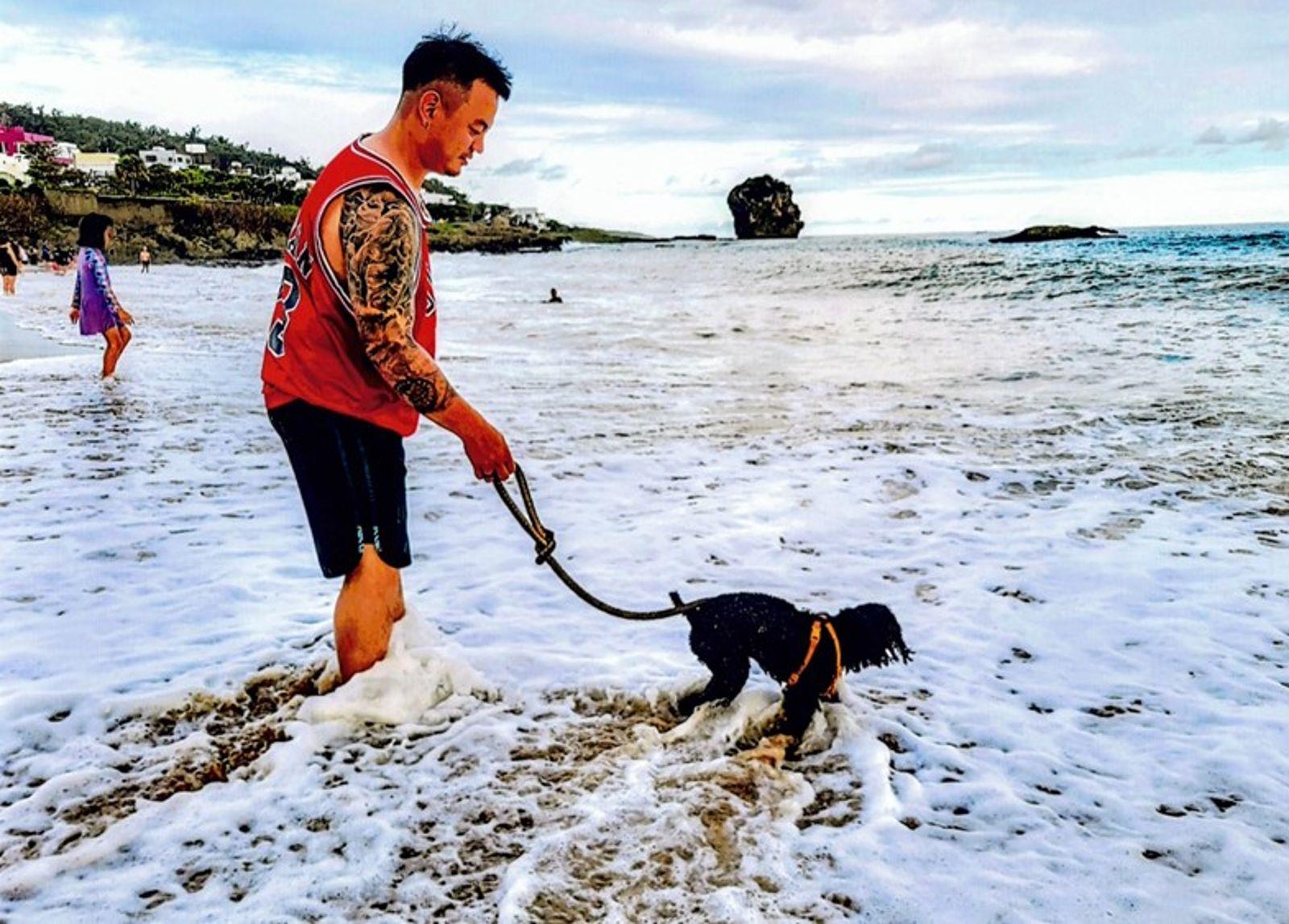 海邊遛狗照片獲得優選也被懷疑與主題不符。（圖／翻攝自屏東縣恆春鎮公所）