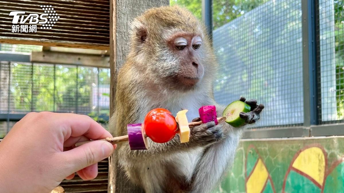 好萌!壽山動物嗨開中秋野營趴 大嗑「超澎派烤肉大餐」