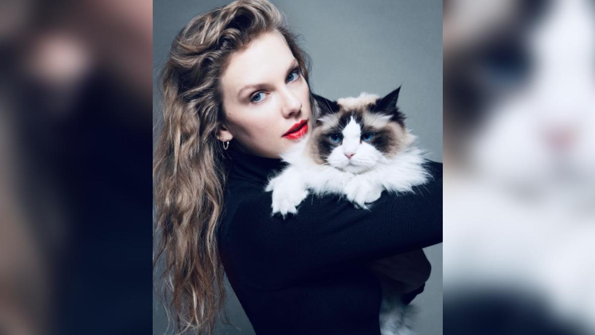 泰勒絲在社群表態支持賀錦麗。（圖／翻攝自IG @taylorswift）