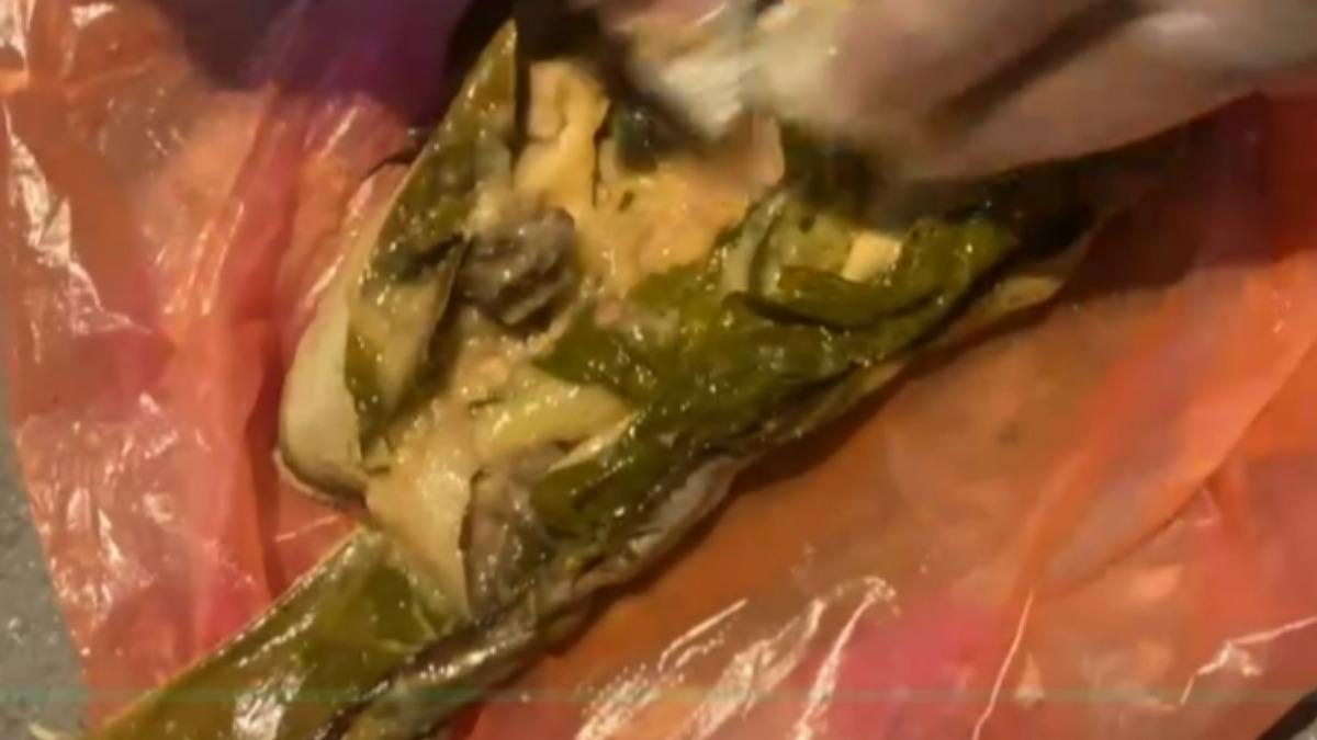 奪命生蝸牛粽釀3死！食藥署、疾管署帶隊下台東　鎖定5種可能中毒物