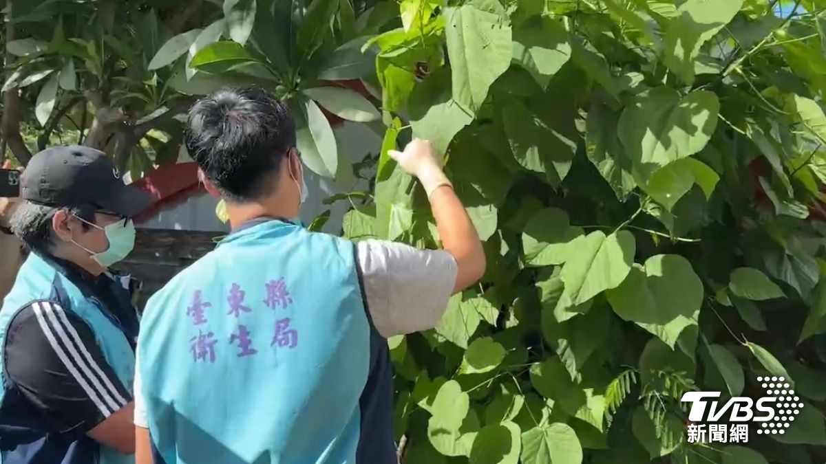 何物致命?台東小米粽「阿粨」釀3死 衛生局帶回3食材
