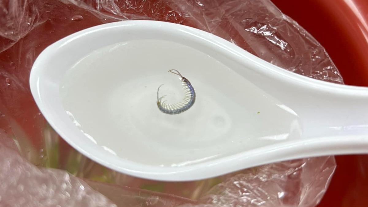 外帶加料魚丸湯!他快喝完「驚撈1毒蟲」 全場笑:老闆下重本