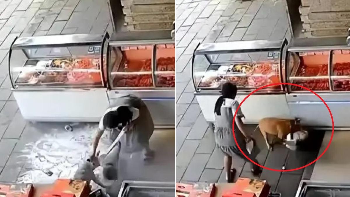 陸3歲女童突遭惡犬攻擊！撕咬50秒　民眾合力打狗救人