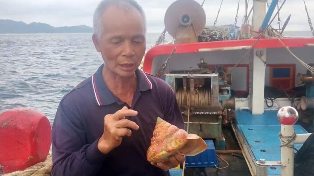 比恐龍還早!龜山島外海捕獲「活體龍宮貝」 漁民樂壞:售價很可觀