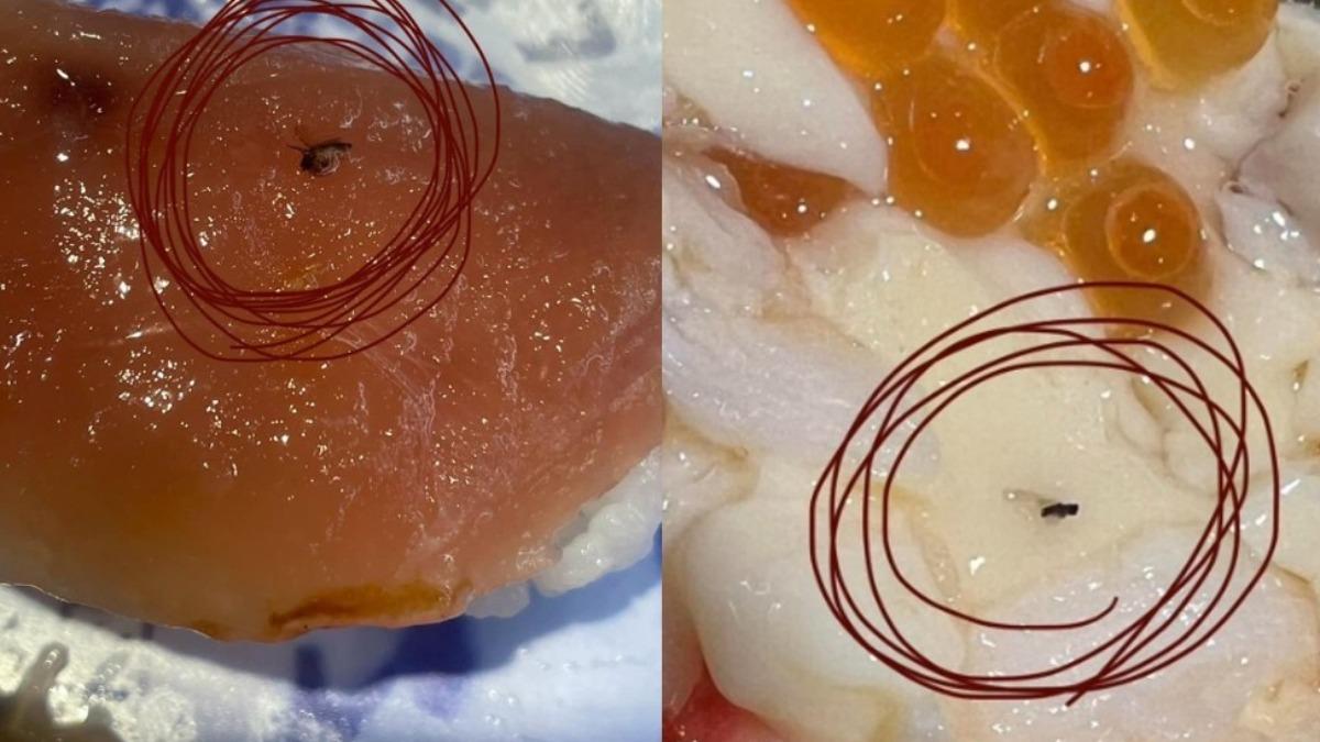 迴轉壽司驚見飛蟲?店員堅稱「香菇、海苔」惹毛客 業者回應了