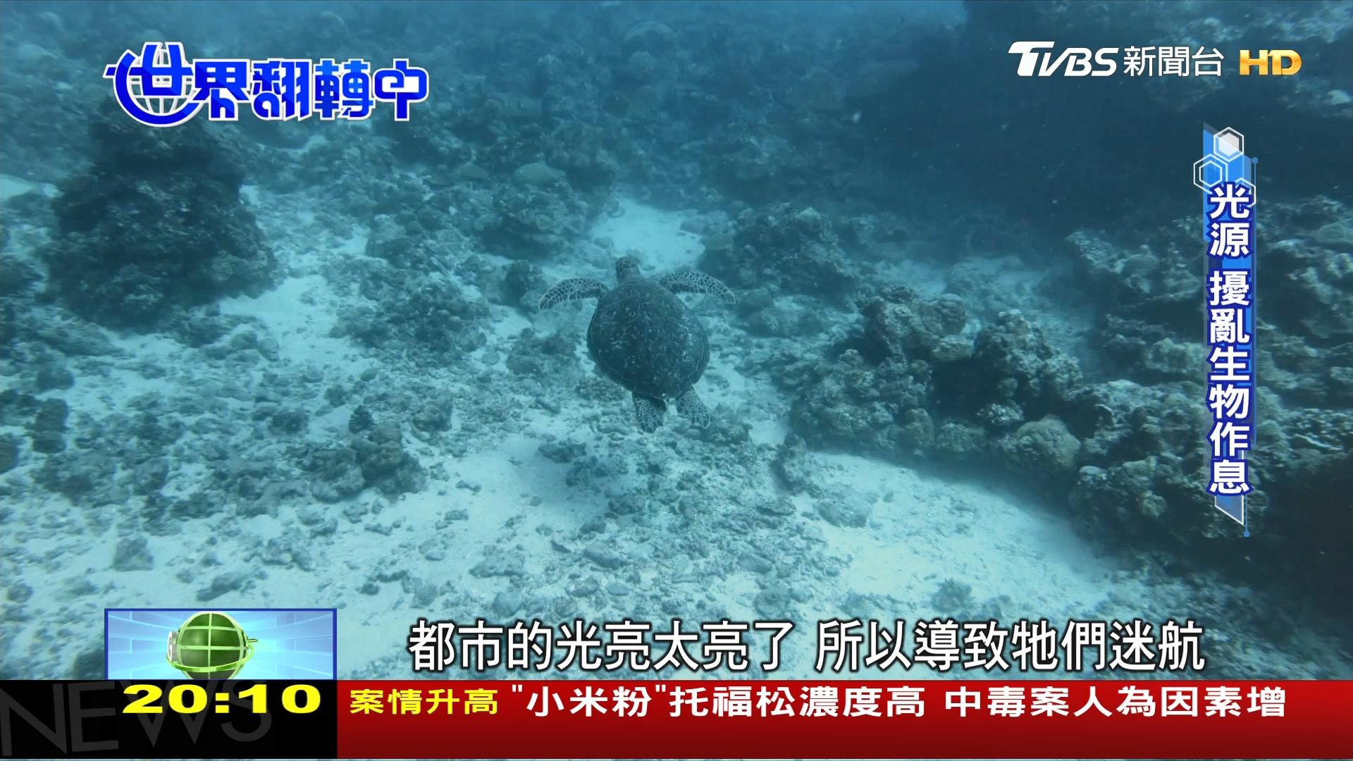 圖／TVBS