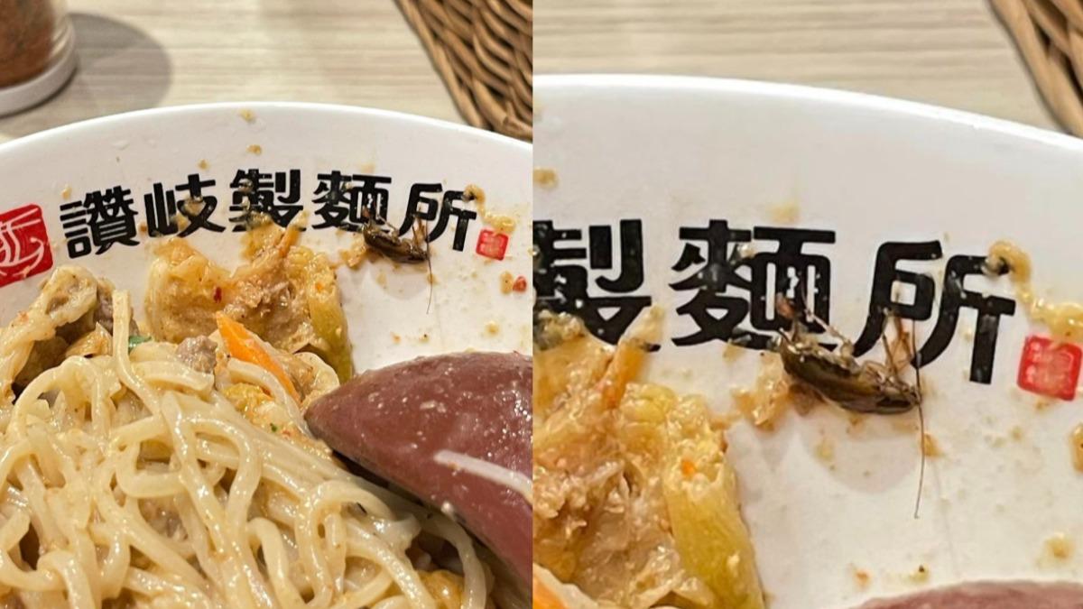 吃麵驚見蟑螂!店員竟扯「天氣熱」 讚岐製麵所道歉:今清消2次