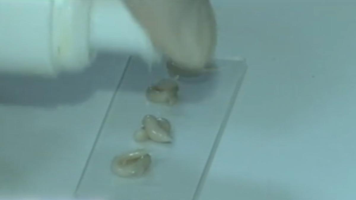 圖/翻攝自 微博