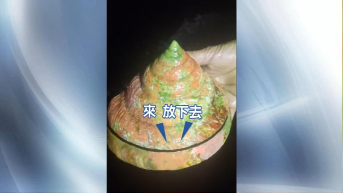 圖/船長林天明提供