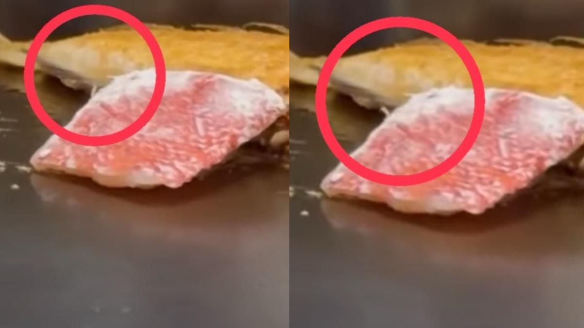 吃鐵板燒驚見魚肉塊「有白蟲狂蠕動」! 網:蛋白質加量