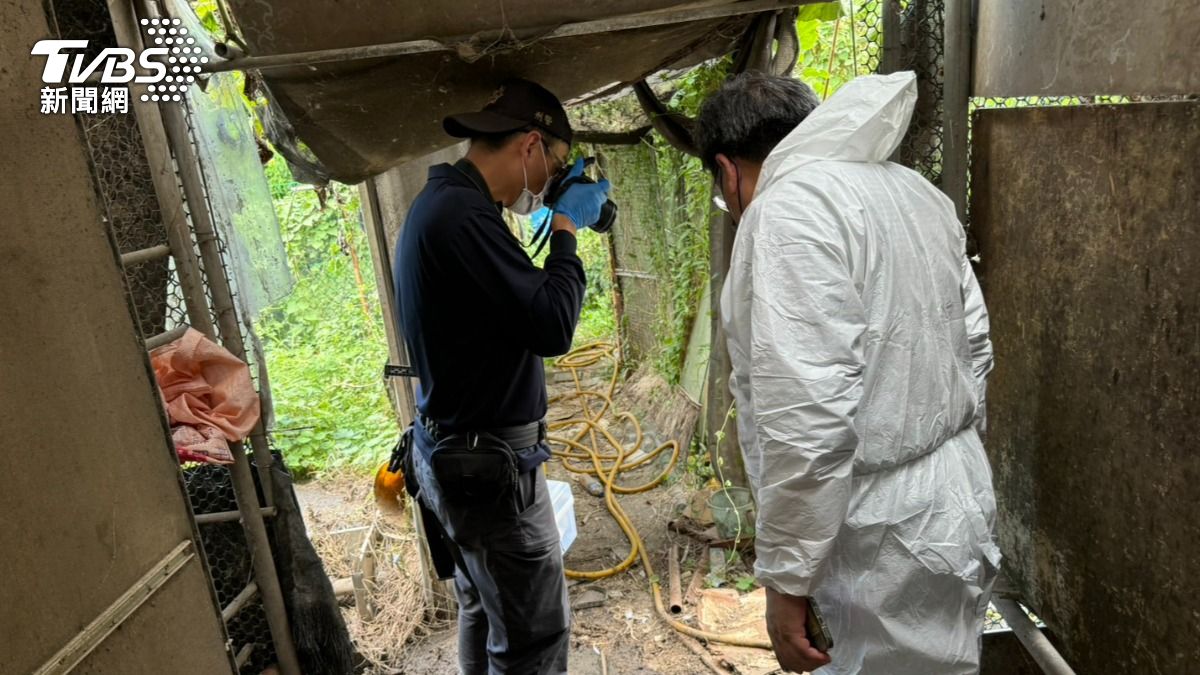 桃園人妻「屠殺百狗」每月爽賺6位數 前夫不忍大義滅親舉報