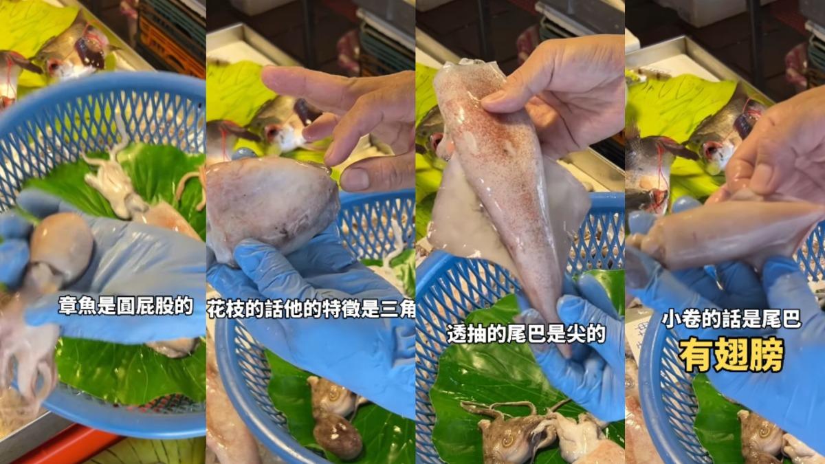 蘆洲市場魚販親自解說「透抽、花枝、軟絲、小卷、烏賊」的差別。(圖/翻攝自IG @wongfisher666)