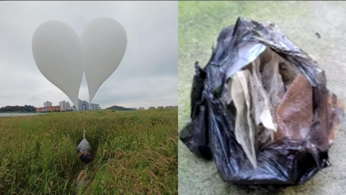 北韓5500顆穢物氣球狂襲！南韓機場關、火災頻傳　婦遭砸中送醫