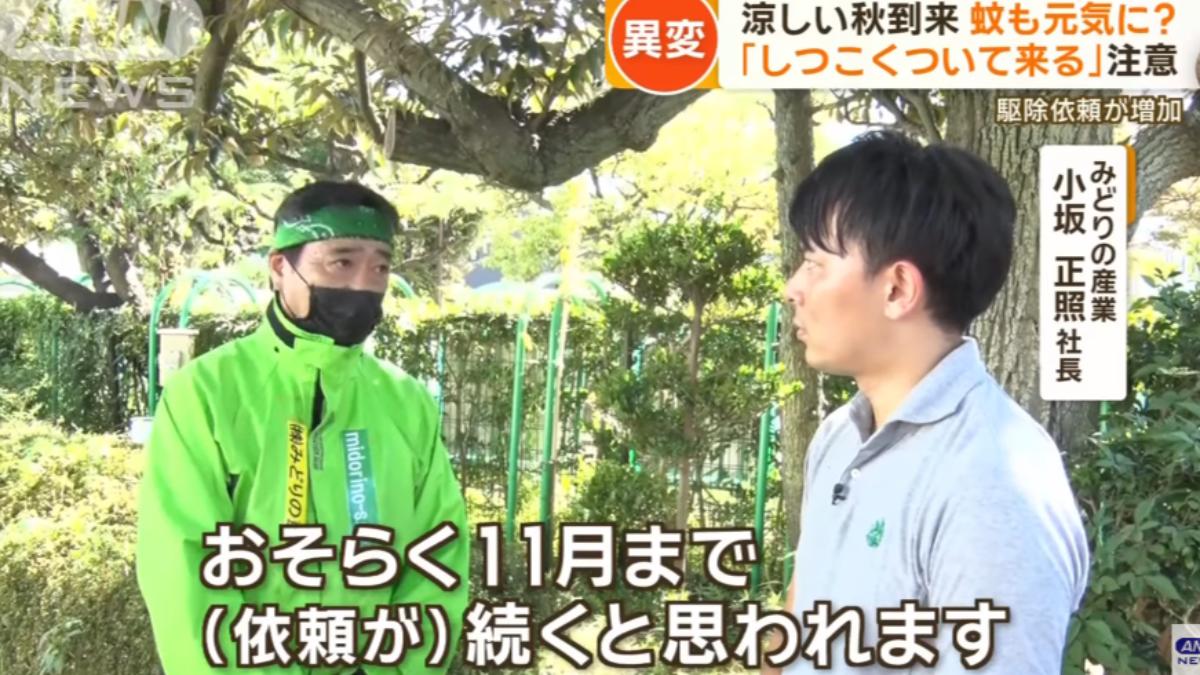 家戶請求驅蚊的需求逐漸拉長。（圖／翻攝自ANNnewsCH YouTube）