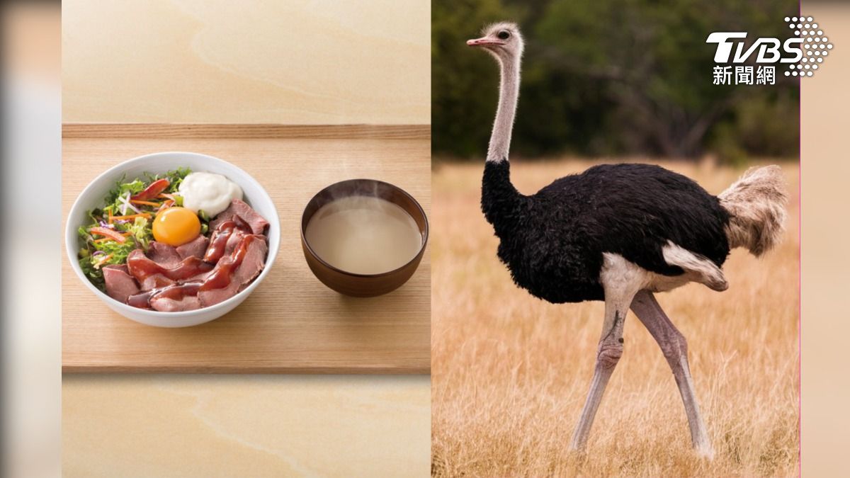 糧食短缺救星?日本吉野家推限量「鴕鳥丼」 加碼賣鴕鳥脂美妝品