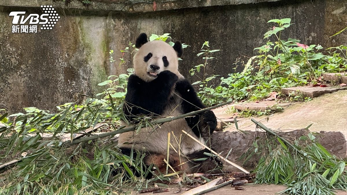 圖/達志影像美聯社