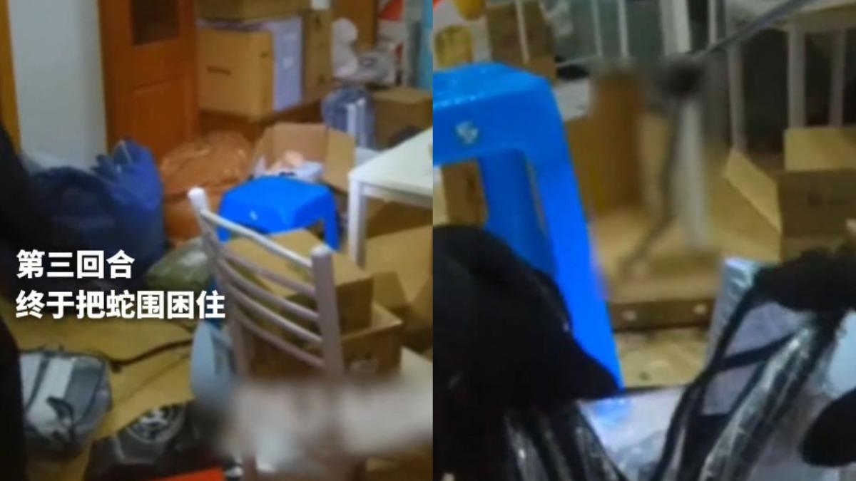 陸男網購海南島榴槤 一打開驚見「蠕動贈品」嚇瘋報警了