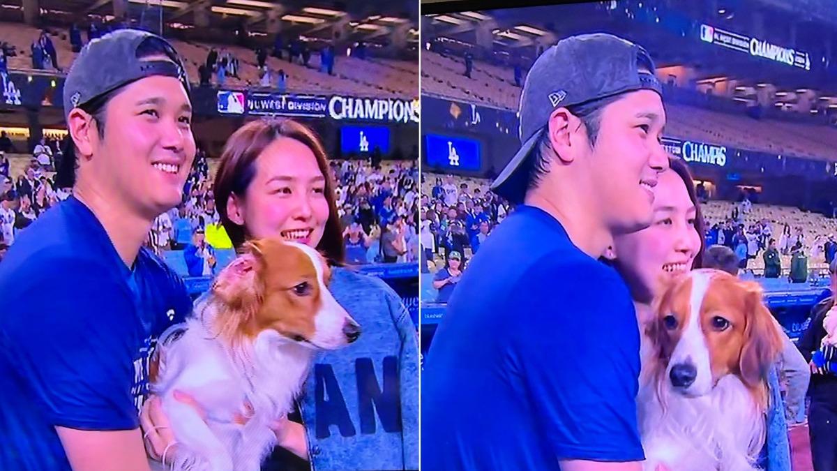 大谷翔平和愛妻田中真美子、愛犬Decoy合影。(圖/翻攝自X@princess_cat777)