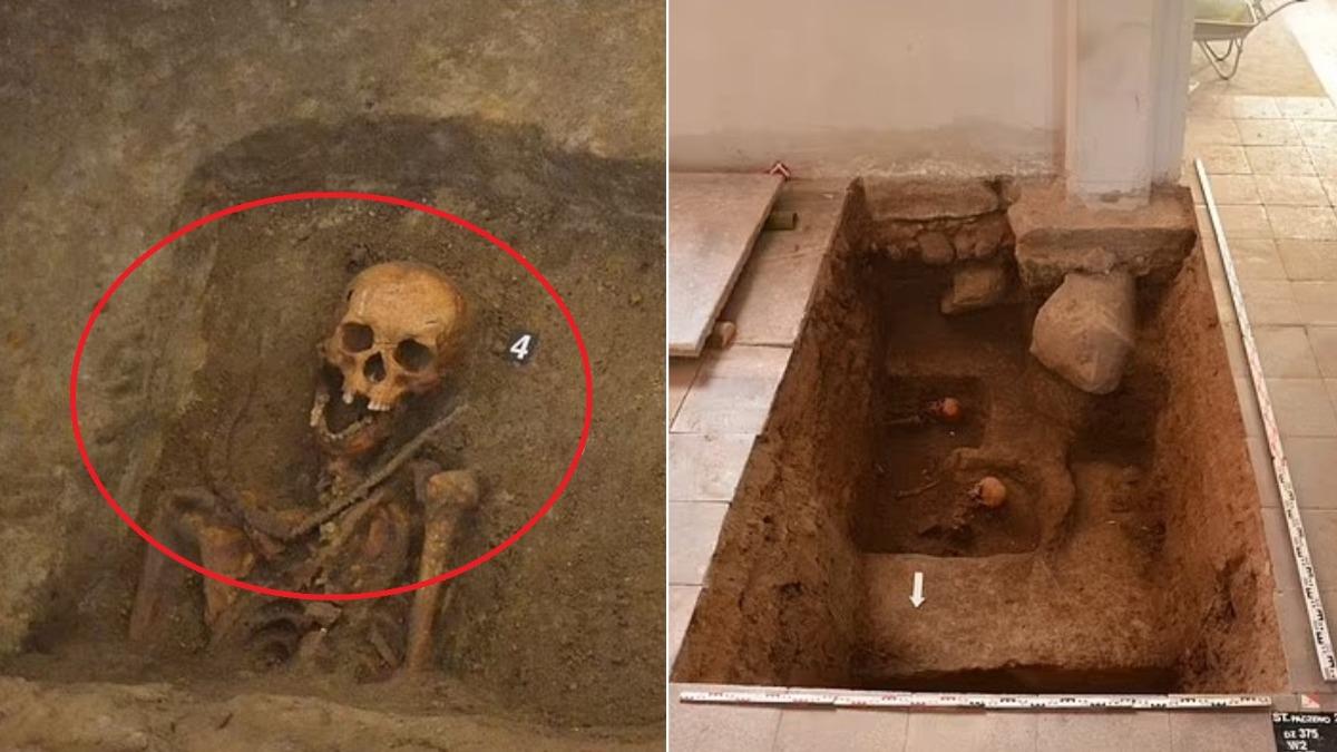 波蘭出土17世紀吸血鬼墳墓!男子骸骨「脖掛鐮刀」防起死回生
