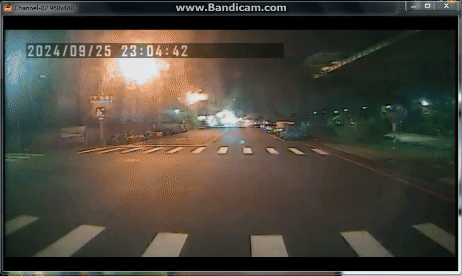 駕駛是看到路旁有路樹傾斜，深怕公車太高撞到樹枝才閃避。（圖／巨業客運提供）