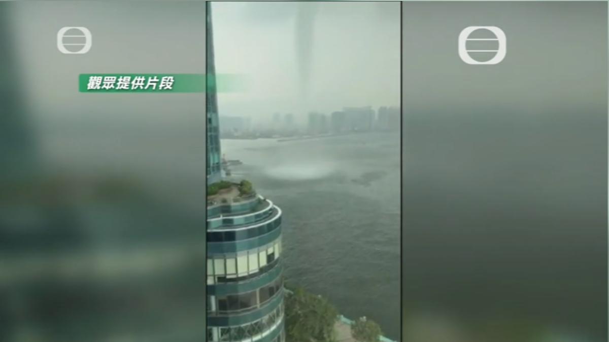 圖／畫面提供 TVB