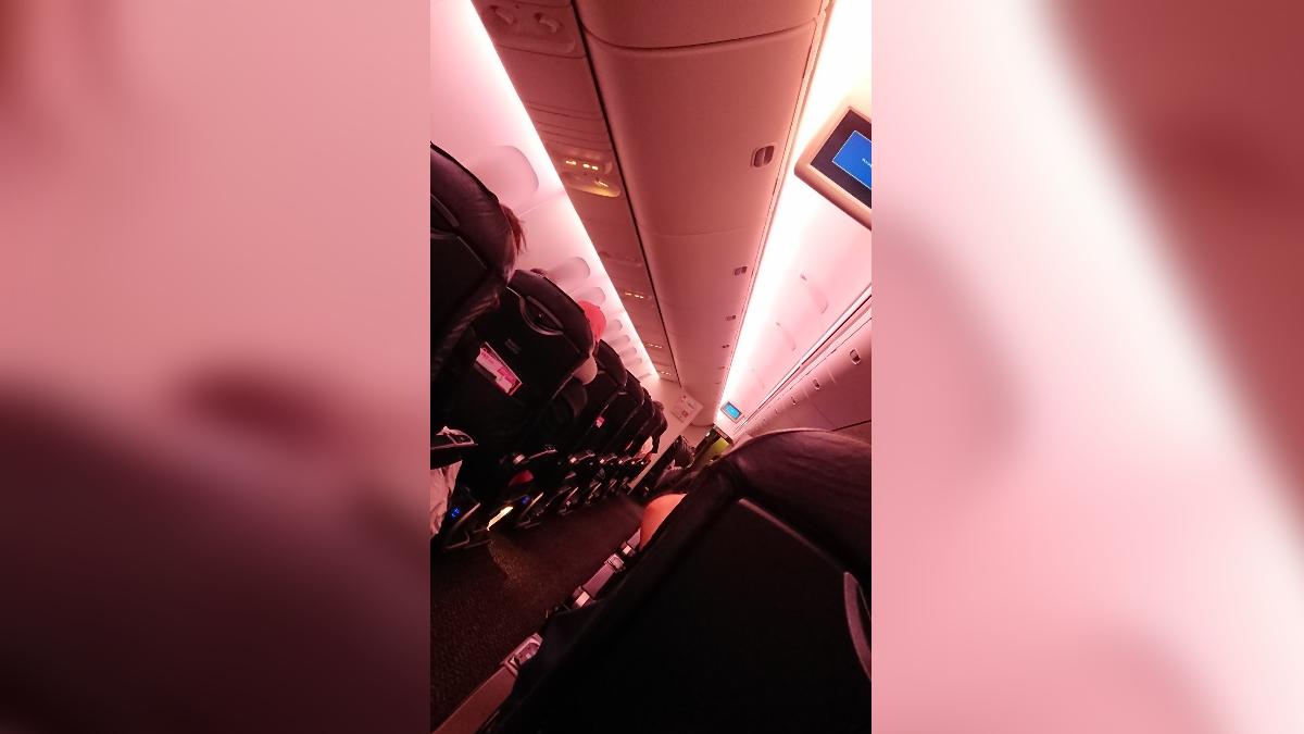 日航降落前「機艙燈光全變粉紅色」!機長超暖廣播惹鼻酸