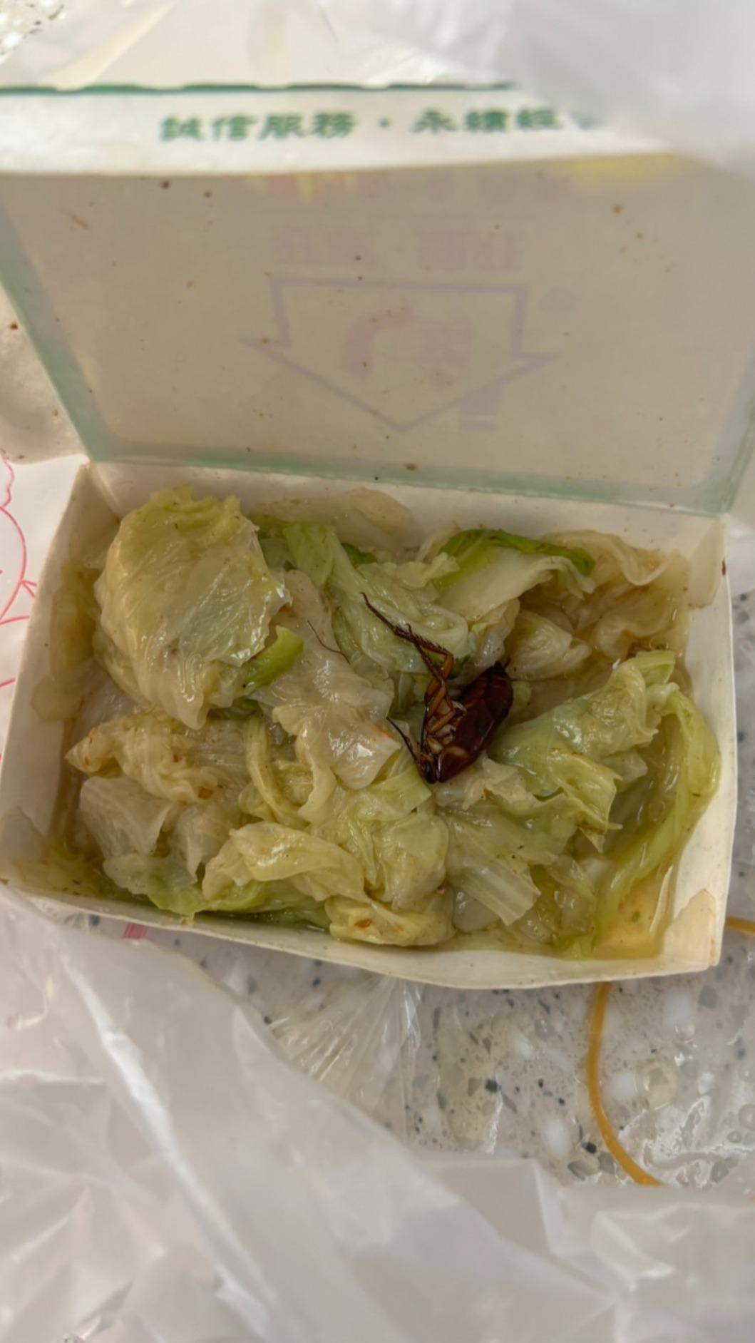這隻蟑螂就這樣躺在白菜中間,讓網友看了都嚇一跳。(圖/翻攝自爆料公社官方專屬臉書)