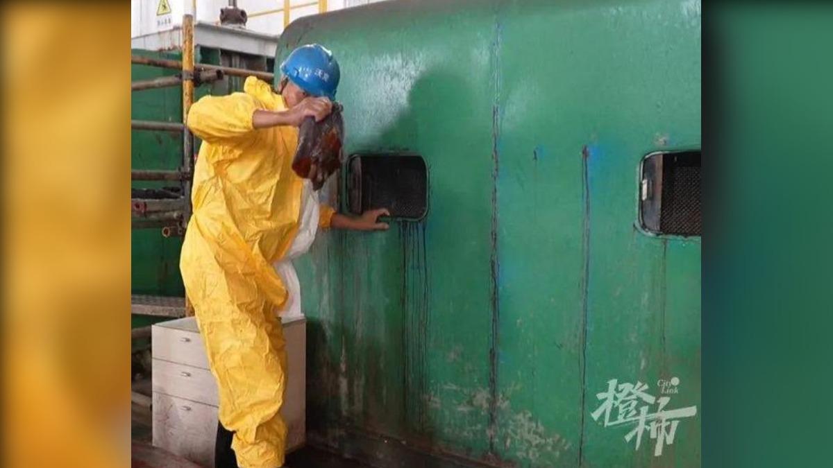 值班工作人員员工從循泵房抓到的海蜇。(圖/翻攝橙柿互動)
