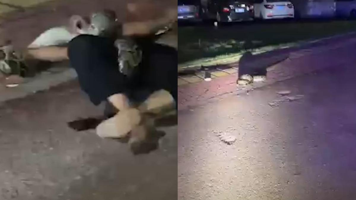 路邊巧遇2米大蟒蛇!陸男喝醉「衝向前搏鬥」 驚悚緊纏30秒瘋傳