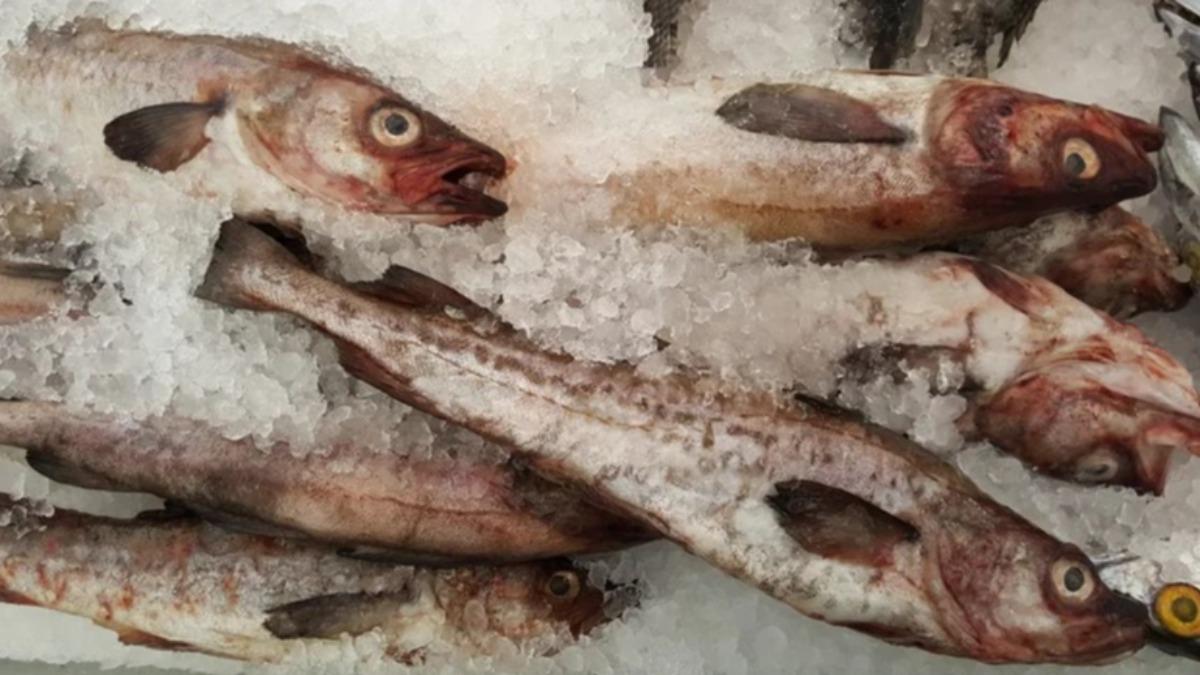 麥香魚裡用的魚肉是來自阿拉斯加和白令海水域、極為新鮮的野生「阿拉斯加狹鱈」。（圖／翻攝自Daily Meal）
