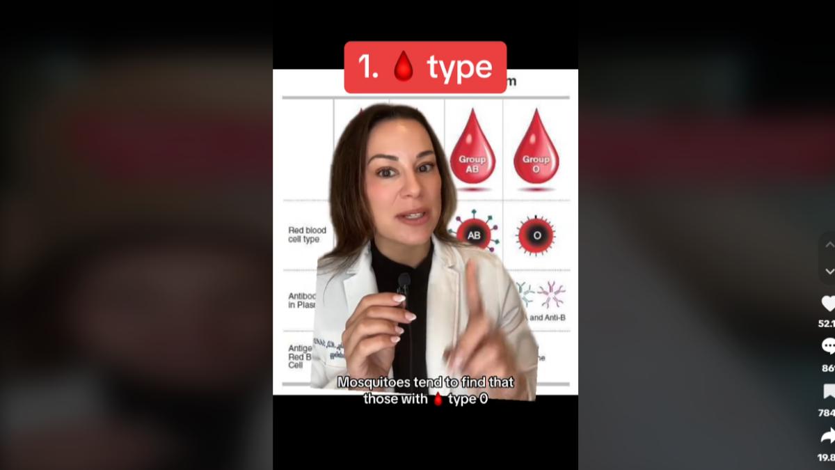 英國醫師曝具備三種特質的人，特別容易被蚊子叮咬。（圖／翻攝自TikTok @dermguru）