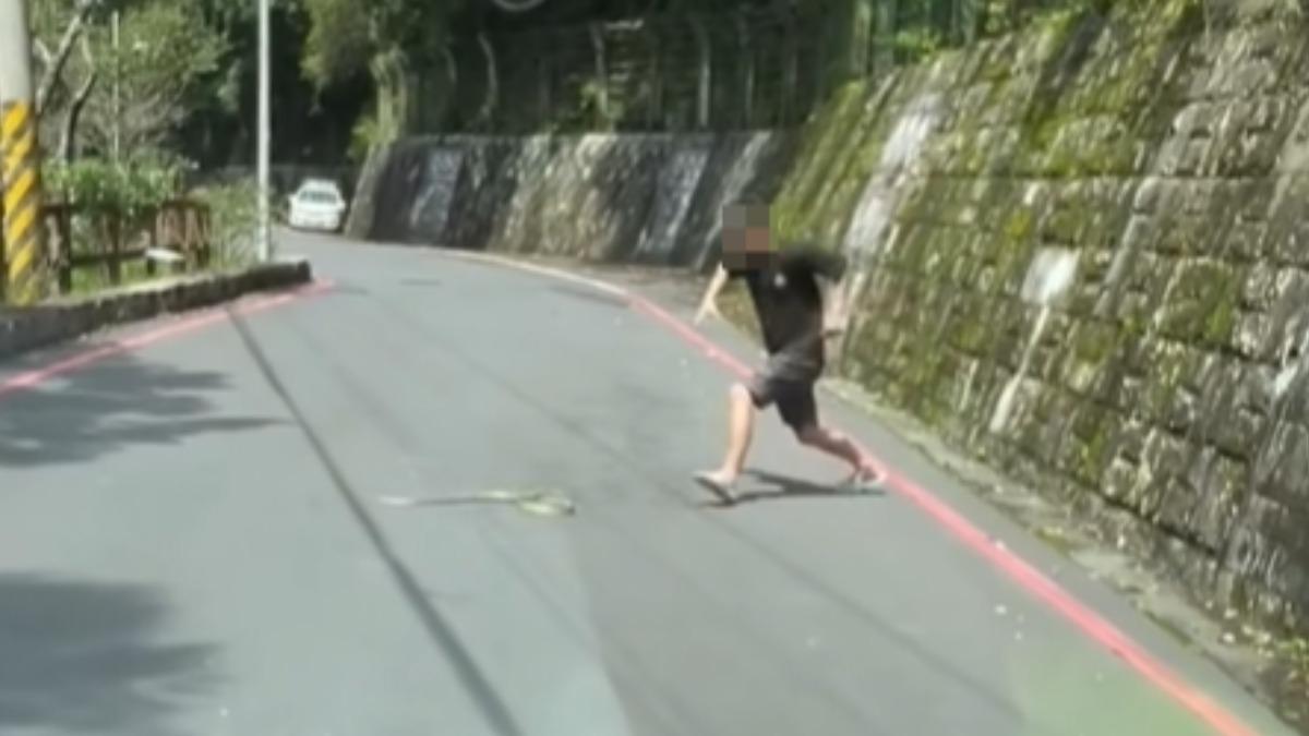 錦蛇好幾度在地上要離開，卻又被抓回來。（圖／翻攝自爆廢公社臉書）