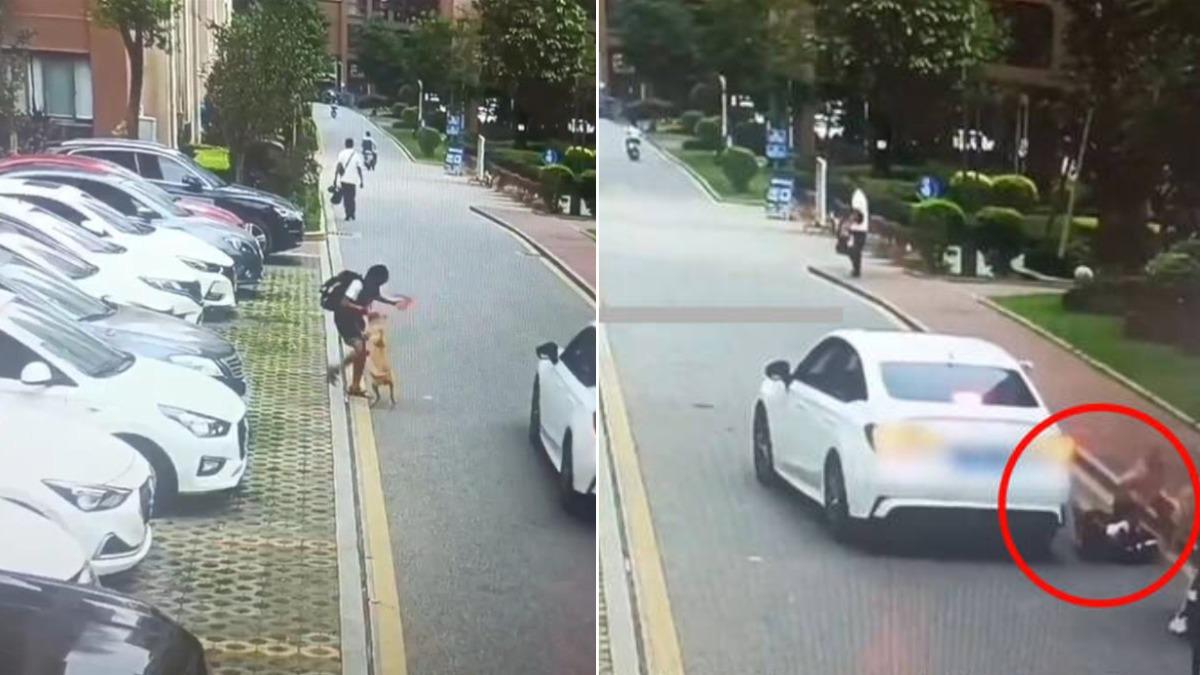 有片/陸男童被狗「瘋狂撕咬40秒」 路人見死不救險喪命