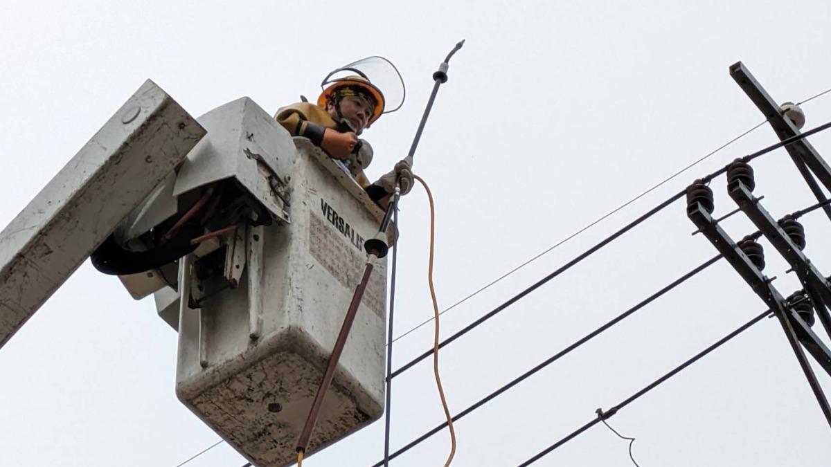 嚴防海線地區「鹽塵害」導致停電,台電台中區處加強礙子清洗工作。(圖/台電台中區處提供)
