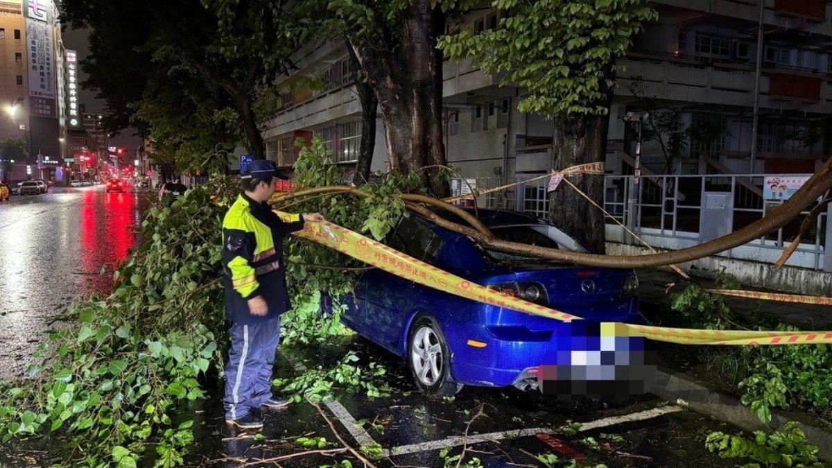 颱風驚險瞬間!山陀兒強襲高雄 路樹吹倒「砸中自小客車」