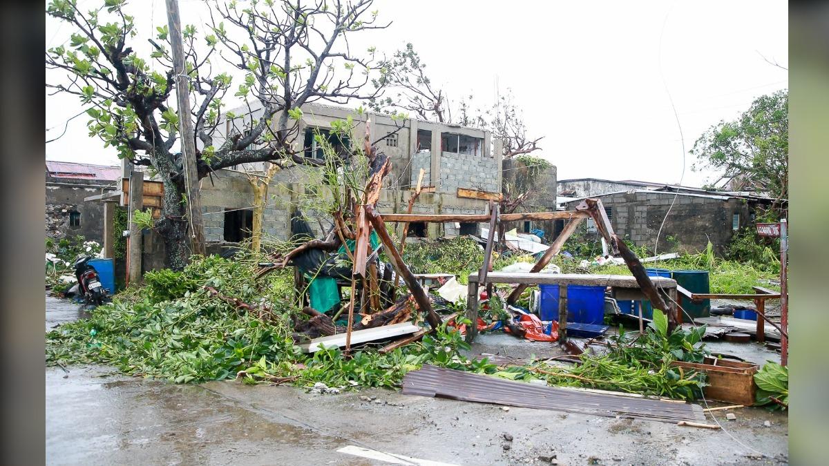 巴丹群島路樹倒塌。(圖/翻攝自 FB@Office of Batanes Governor Marilou H. Cayco)
